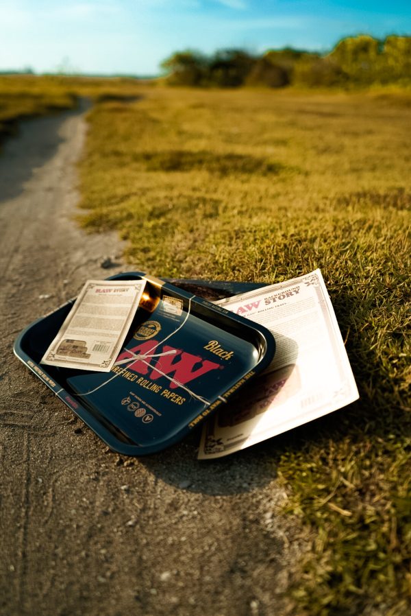 IMG_7346 RAW Metal Tray Black Design (Medium Size)