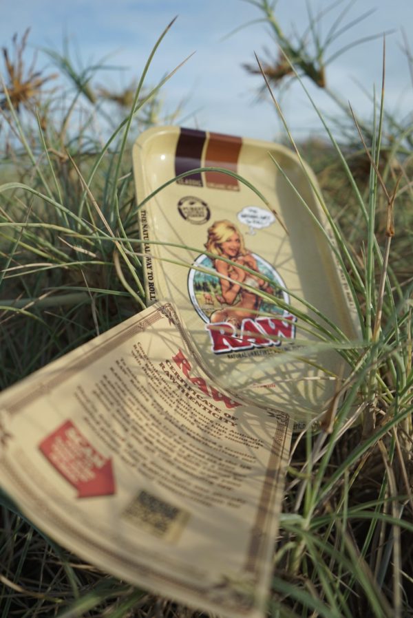 RIC00095-rotated RAW METAL Tray Girl Design (Medium Size)