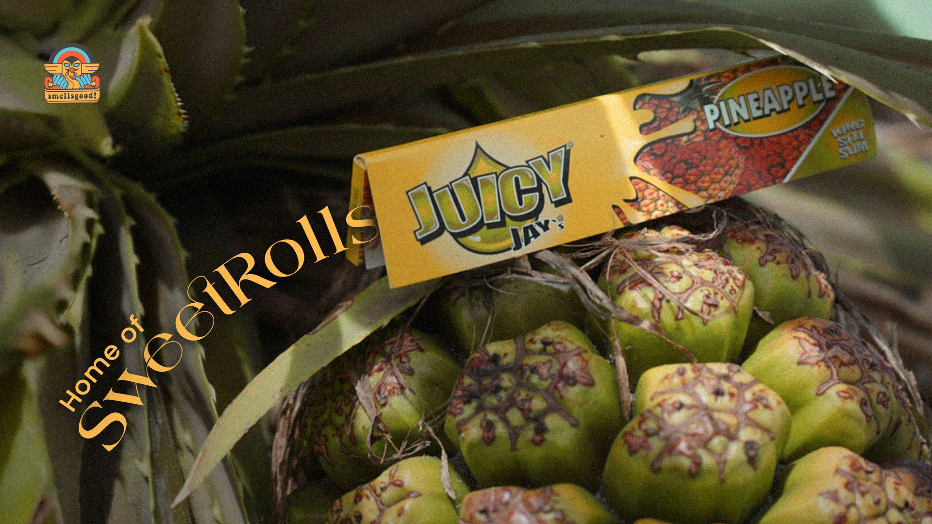 juicy-jay-poster-2-1